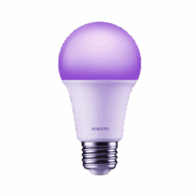 Xiaomi Smart LED Bulb (White and Color)