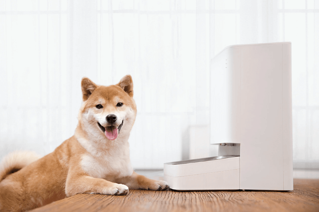 tecnologia xiaomi mascotas