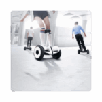 Xiaomi Mi Ninebot S Mini persona